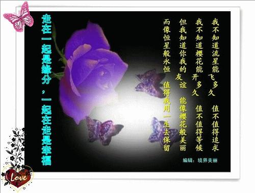 经典语录：一起散步是命运，一起散步是幸福