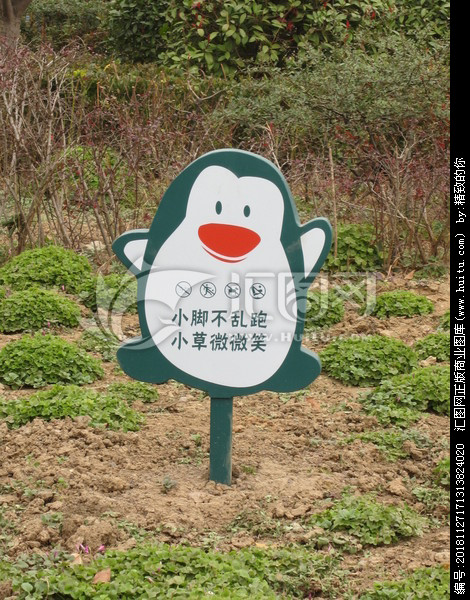 爱花草的口号