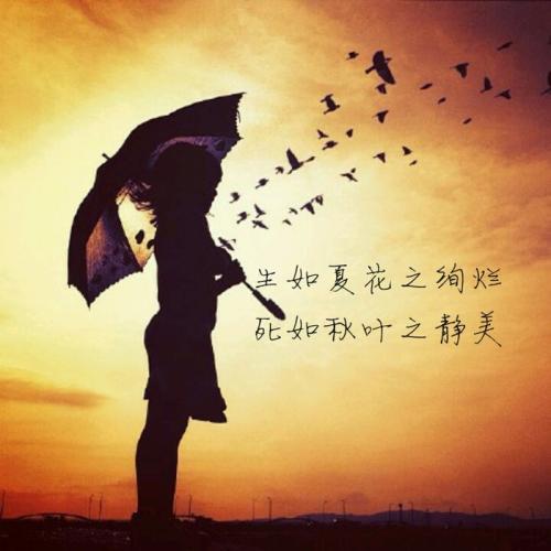 赞美夕阳的诗