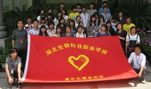 青年志愿者事迹材料