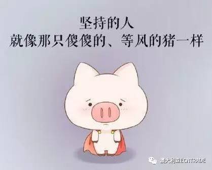 坚持是如此困难，为什么你不选择放弃？
