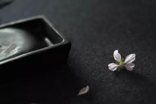 梁世秋：职业
