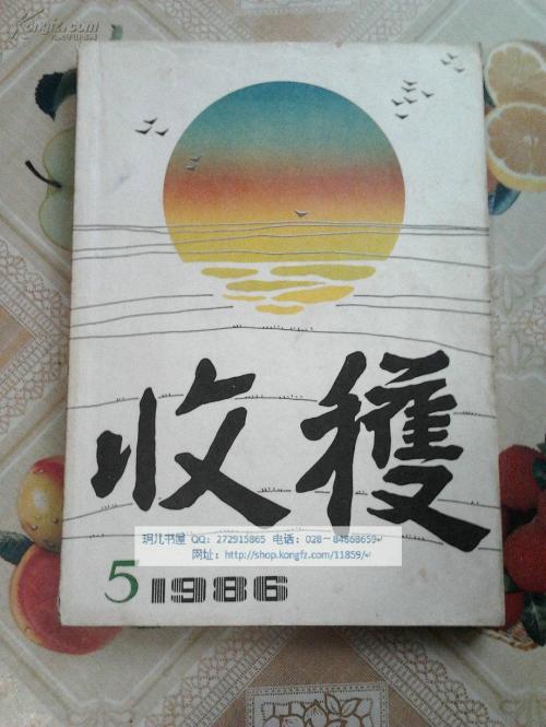 铁宁：进球球