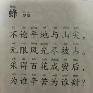 蜜蜂罗音