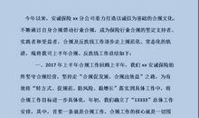 保险公司工作总结