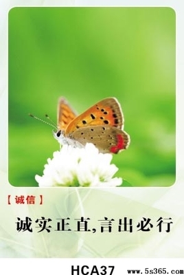 诚信行情
