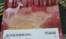 毕淑敏：费城被阉割的女人