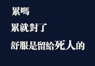 关于斗争的审美句子