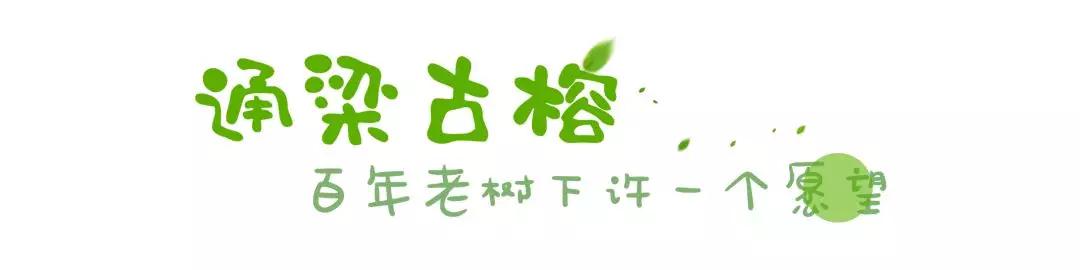 四年大学，您最大的收获应该是孤独