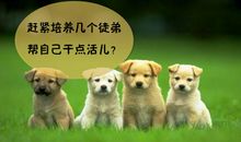 其实,大多数人并不在意你