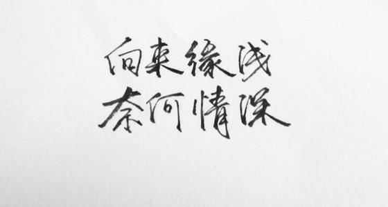 最悲伤的美丽诗句