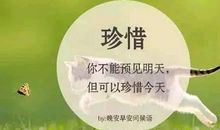 温暖心灵的话语