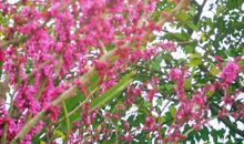 经典语录：掬一捧月色，送你一片春暖花开