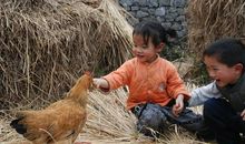 贾平凹：人生的车途上，母亲是加油站