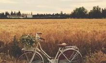 经典语录：有一种单身，叫做宁缺毋滥