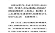 放飞我的梦想演讲稿