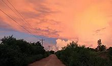 世上最美的风景，是回家的路两旁