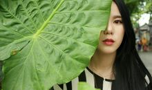 生活是一场独角戏,我们痛恨的嫉妒的恐惧的都是另一个自己