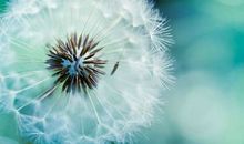 人会来，就会离开，这人间一直轮回