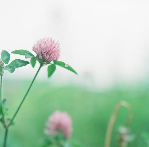 皓月空虚