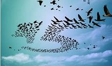 有关团结的话语