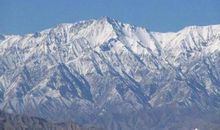 王蒙：阿咪的故事