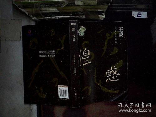 王萌：面向街道的窗户