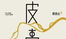 《皮囊》读后感 - 放下浮躁找回你的灵魂