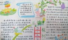 关于植树节的广告语