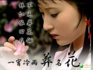 关于阅读《红楼梦》的思考