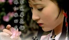 读《红楼梦》有感