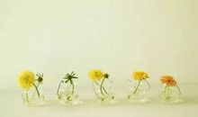 尊重别人是一种涵养