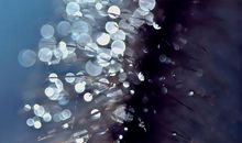 农事时令谚语汇编