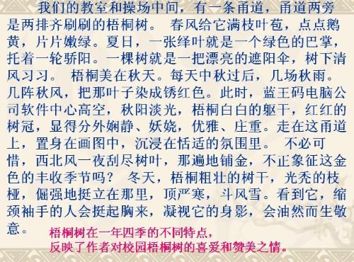 关于春天的段落