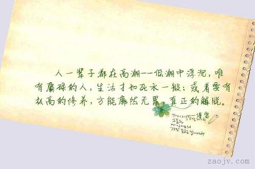 关于浮沉的句子