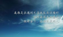 有感悟的句子