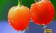 问候朋友的话语