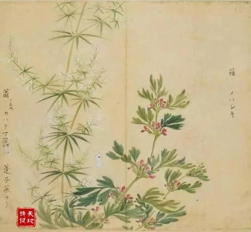 有趣又有趣的谚语