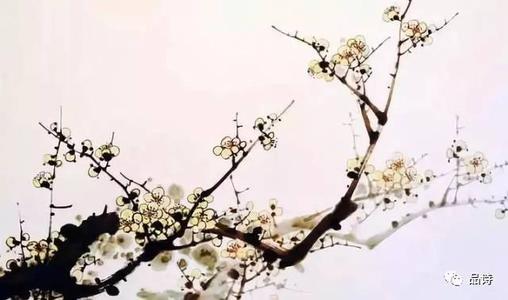 描述梅花的现代诗歌