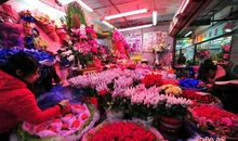 情人节卖玫瑰花广告词