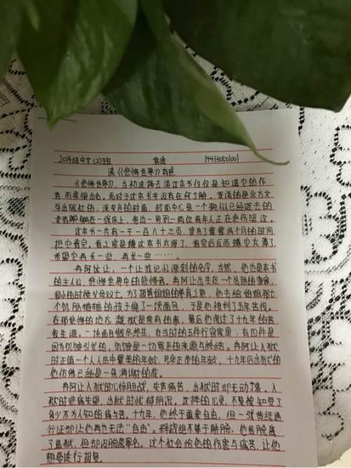 悲惨世界读后感英文版