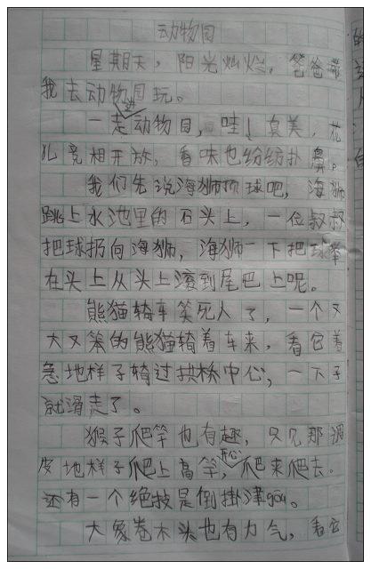写动物论文：我的好伙伴新米