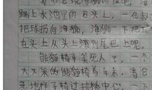 写动物作文：我的好伙伴——心咪