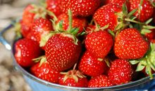 关于草莓的句子