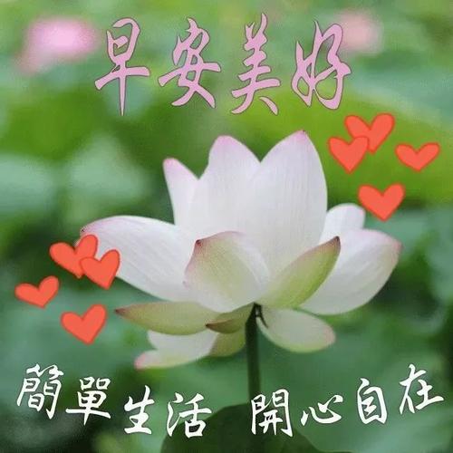 最热烈的问候语