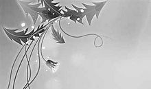 赞美黄河的现代诗