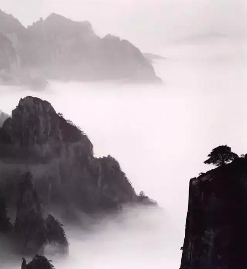 苏Shi：Part天·临段山明竹隐墙