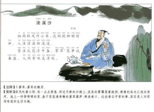 苏Shi：环溪沙·寓意