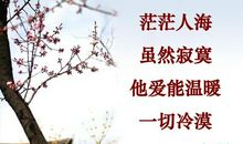 赞美女人的现代诗