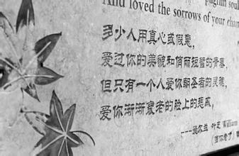 叶芝行情